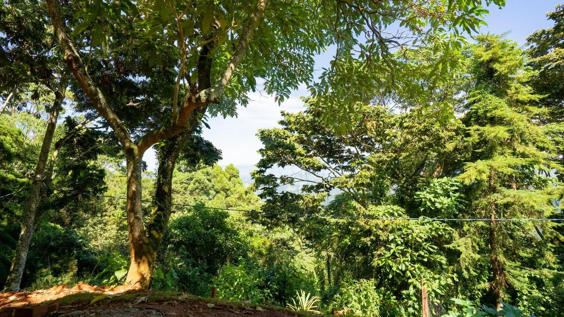 Cabana Nas Montanhas Em Campos Do Jordao Chalet
